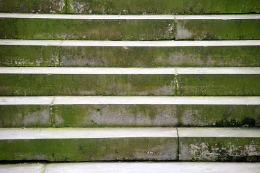 The photograph of a staircase overgrown with moss and lichens.