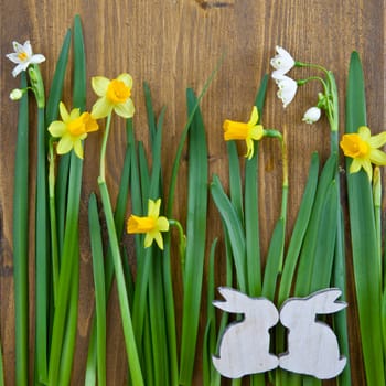 Rustic background with spring flowers and grasses
