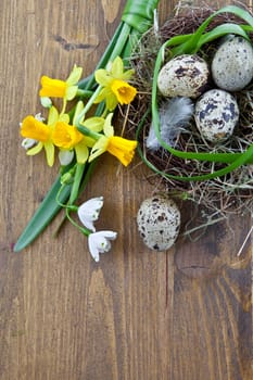 Rustic background with spring flowers and Easter nest