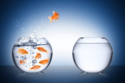 Challenge concept with fish