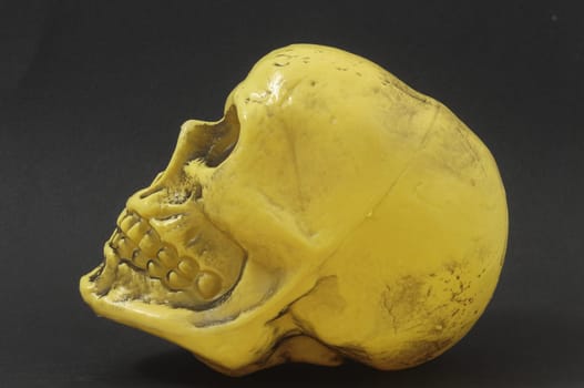 An Ancient Yellow Skull on a Colored Background