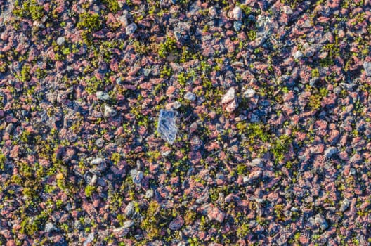 Surface of an old neglected tennis court