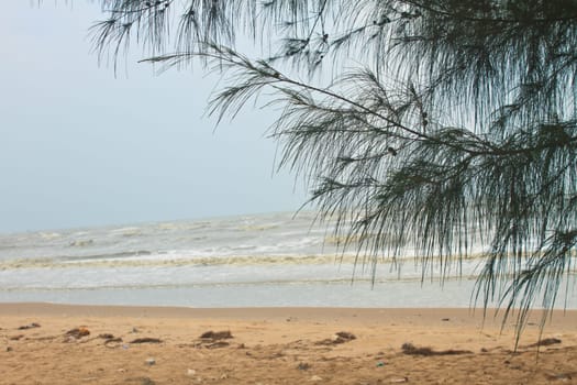 sea and pine tree, Shining day at Prachuap Khiri Khan Province, Thailand