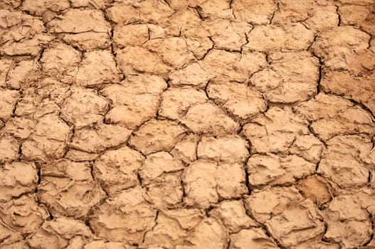 A dry water hole showing cracked mud