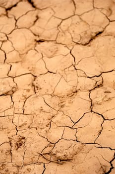 A dry water hole showing cracked mud