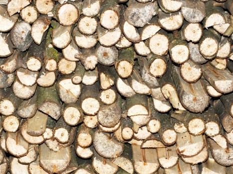 wood