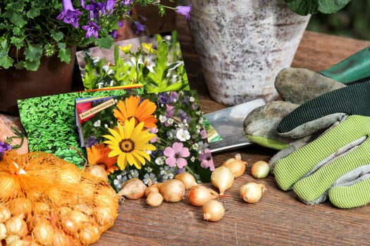 Seeds,onions and garden tools