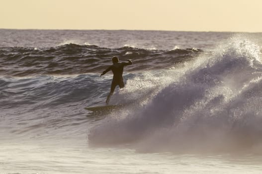 Backlight Silhouette Surfer in the Ocean at Sunset