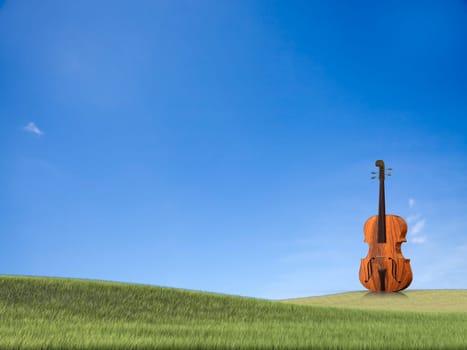 violoncello isolated under the white background