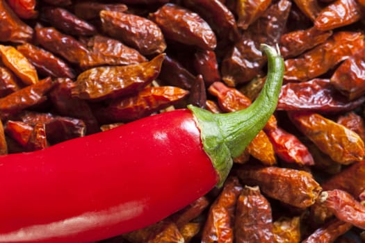 Macro shot single chilli pepper on dried