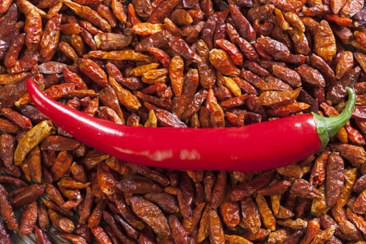 Background with chilli pepper on dried chili peppers