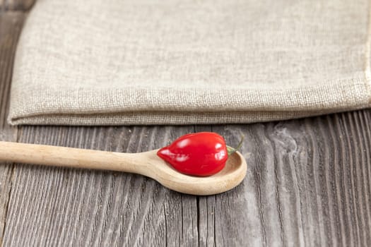 Hot Habanero chili pepper on wooden spoon
