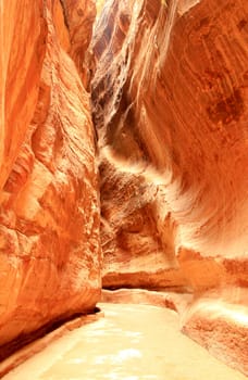Rosy red walls of the Siq canyon, leading to the Treasury in Petra, Jordan.