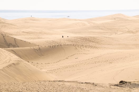 African European Sand Dune Desert Landscape in Gran Canaria Island Spain
