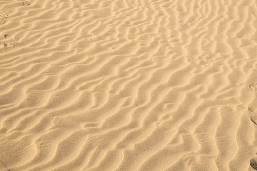Texture Sand Dune Desert in Gran Canaria Island Spain