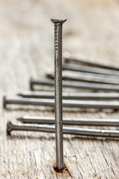 Spike nails on the old wooden plank