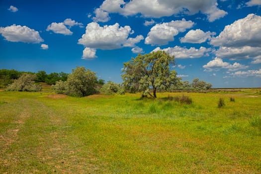 Summer landscape in the Danube Delta Biosphere Reserve, Vadu, Romania.