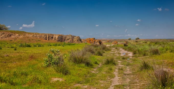 Summer landscape in the Danube Delta Biosphere Reserve, Vadu, Romania.