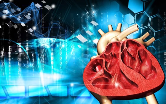 Digital illustration of heart in colour background
