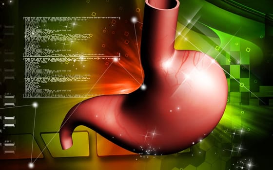 Digital illustration of stomach in colour background