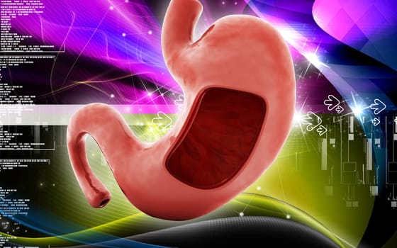 Digital illustration of stomach in colour background
