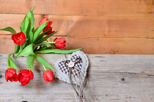 Spring Wood Background