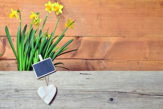 Spring Wood Background