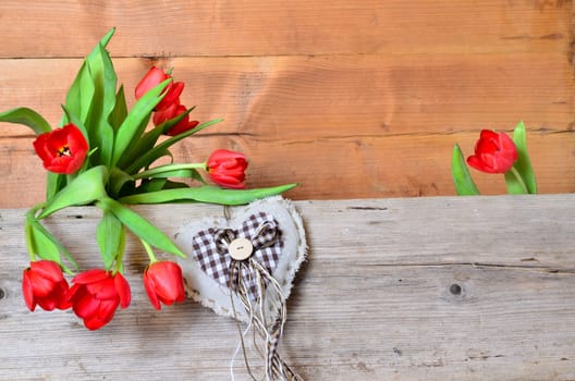 Spring Wood Background