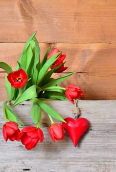 Spring Wood Background