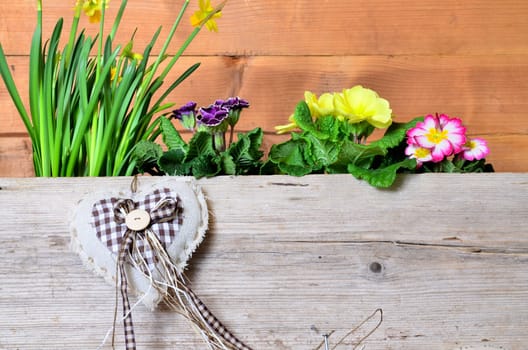 Spring Wood Background