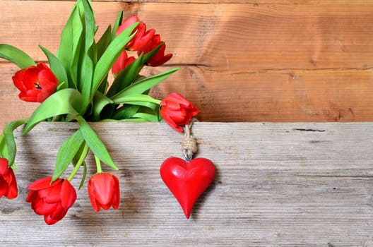 Spring Wood Background