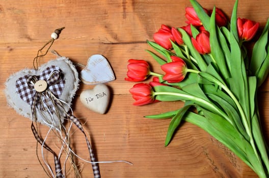 Spring Wood Background