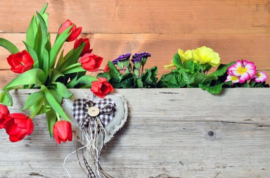 Spring Wood Background