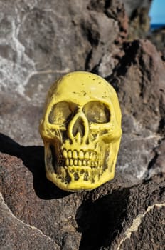 Ancient Vintage Human Skull Head on the rocks