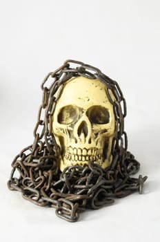 Skull and old Chains on a White Background