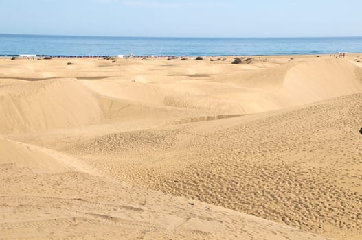 African European Sand Dune Desert Landscape in Gran Canaria Island Spain