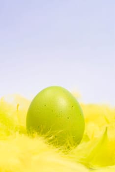 funny,amusing and joyful photo of green easter egg lying in yellow feathers,visible feather falling down.