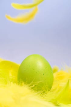 funny,amusing and joyful photo of green easter eggs lying in yellow feathers,visible feather falling down.