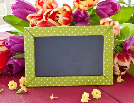 Fresh colorful tulips and small chalkboard with text space