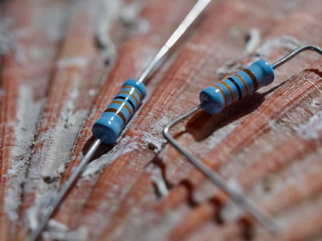 Resistors on sea shell macro in studio