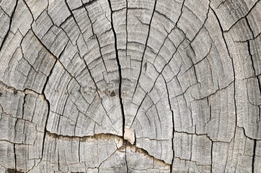 Old Vintage Architecture Wood Pattern Trunk Texture