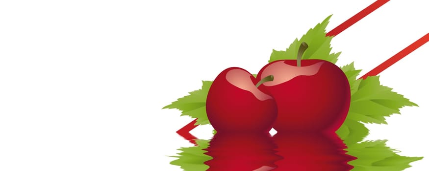 Apples without (New York)