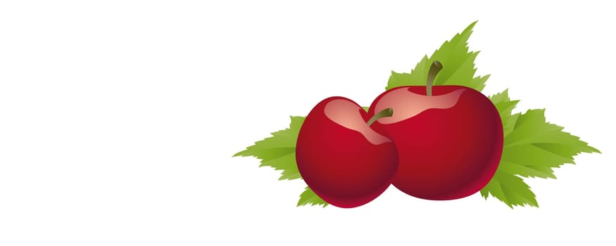 Apples without (New York)