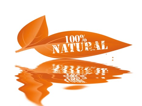 nature landscape or nature unspoiled or nature