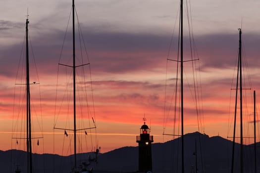 Saint-Tropez,sailing masts with lighthouse in the evening light,Cote d'Azur,Provence,South of France - Saint-Tropez,sailing masts with lighthouse in the sunset light,Cote d'Azur,Provence,Southern France