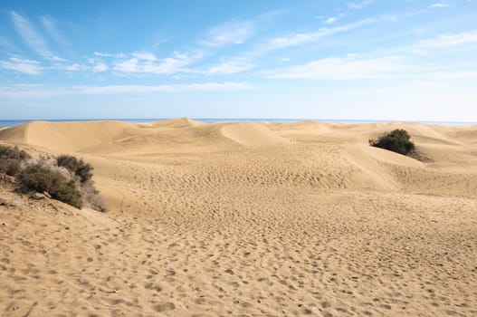African European Sand Dune Desert Landscape in Gran Canaria Island Spain