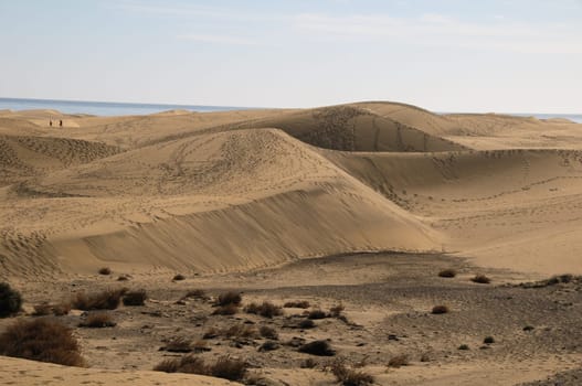 African European Sand Dune Desert Landscape in Gran Canaria Island Spain