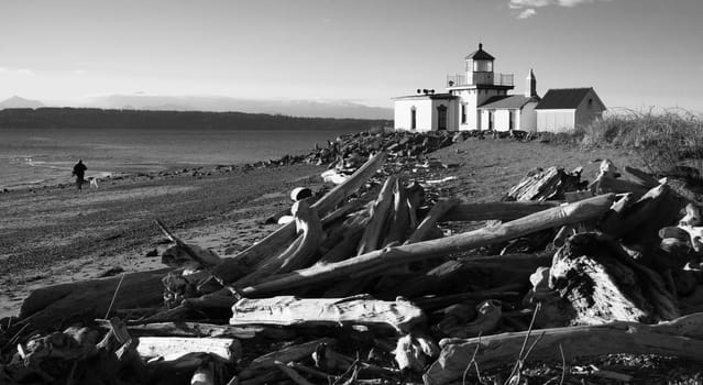 The Olympic Mountains Define the background in this Puget Sound Elliott Bay Nautical Scene