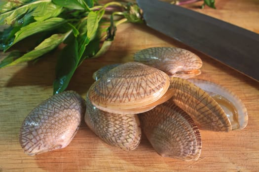 stir fried clams with roasted chili paste and thai sweet basil, thai cuisine
