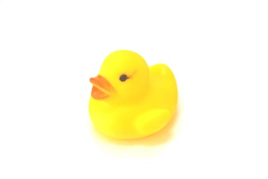 Yellow rubber duck toy on White Background